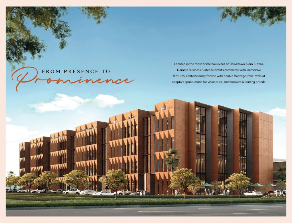 Domain Business Suites